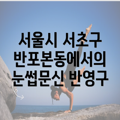 서울시 서초구 반포본동에서의 눈썹문신 반영구