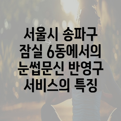 서울시 송파구 잠실 6동에서의 눈썹문신 반영구 서비스의 특징