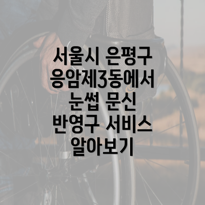 서울시 은평구 응암제3동에서 눈썹 문신 반영구 서비스 알아보기