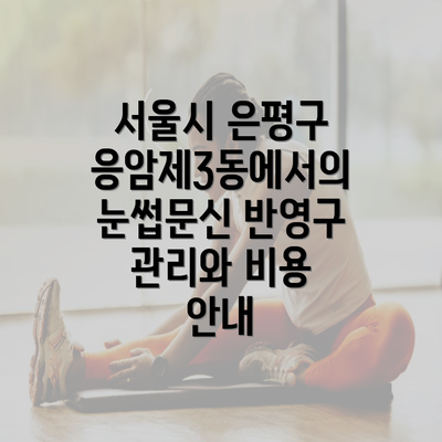 서울시 은평구 응암제3동에서의 눈썹문신 반영구 관리와 비용 안내