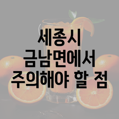 세종시 금남면에서 주의해야 할 점