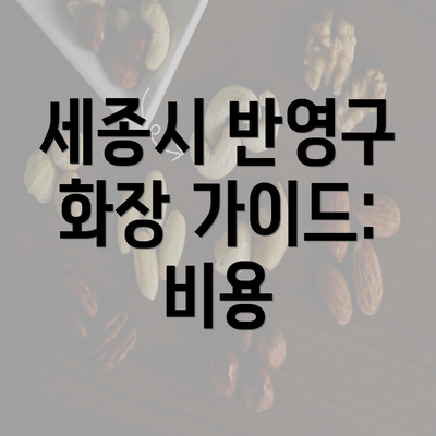 세종시 반영구 화장 가이드: 비용