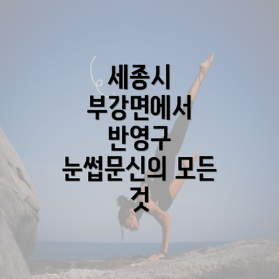 세종시 부강면에서 반영구 눈썹문신의 모든 것