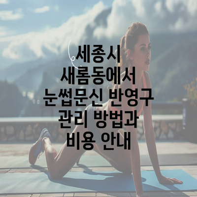 세종시 새롬동에서 눈썹문신 반영구 관리 방법과 비용 안내