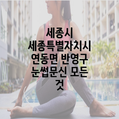 세종시 세종특별자치시 연동면 반영구 눈썹문신 모든 것