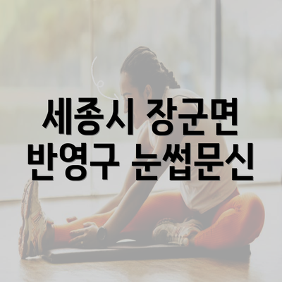 세종시 장군면 반영구 눈썹문신