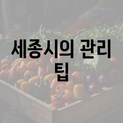 세종시의 관리 팁