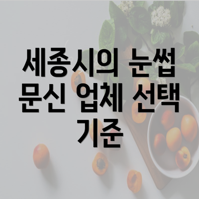 세종시의 눈썹 문신 업체 선택 기준