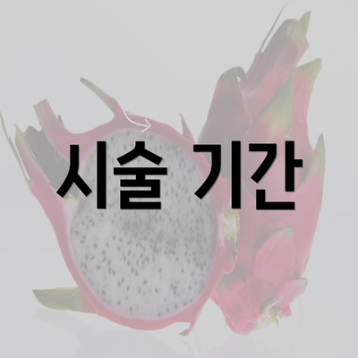 시술 기간