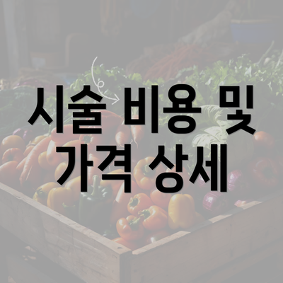 시술 비용 및 가격 상세