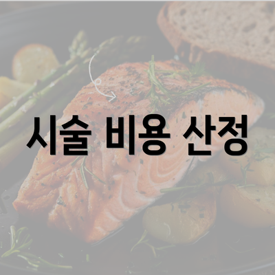 시술 비용 산정