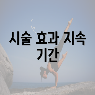 시술 효과 지속 기간