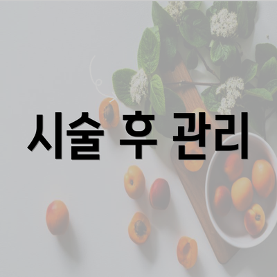 시술 후 관리