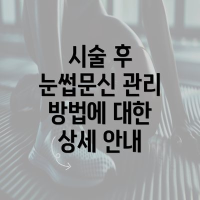 시술 후 눈썹문신 관리 방법에 대한 상세 안내