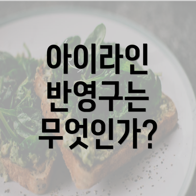 아이라인 반영구는 무엇인가?