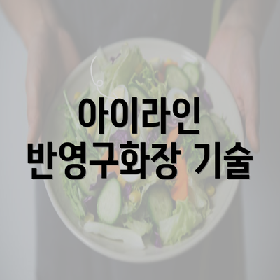 아이라인 반영구화장 기술