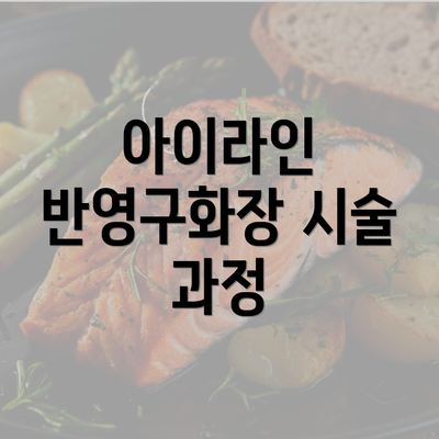 아이라인 반영구화장 시술 과정