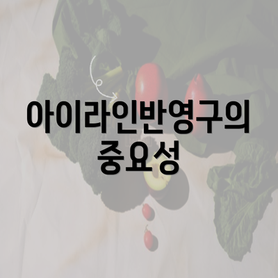 아이라인반영구의 중요성