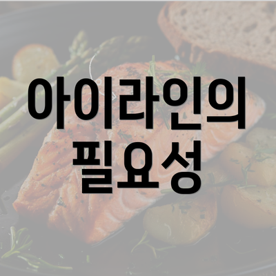 아이라인의 필요성