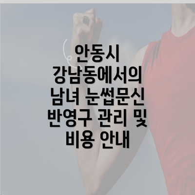 안동시 강남동에서의 남녀 눈썹문신 반영구 관리 및 비용 안내