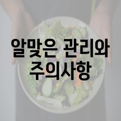 알맞은 관리와 주의사항