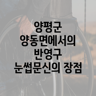 양평군 양동면에서의 반영구 눈썹문신의 장점