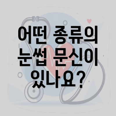 어떤 종류의 눈썹 문신이 있나요?