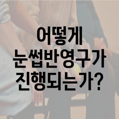 어떻게 눈썹반영구가 진행되는가?