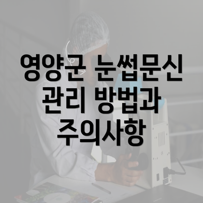 영양군 눈썹문신 관리 방법과 주의사항