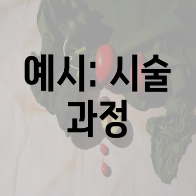 예시: 시술 과정