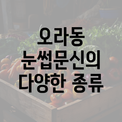 오라동 눈썹문신의 다양한 종류