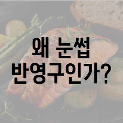 왜 눈썹 반영구인가?