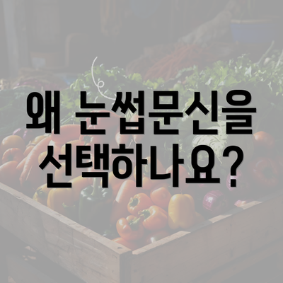 왜 눈썹문신을 선택하나요?