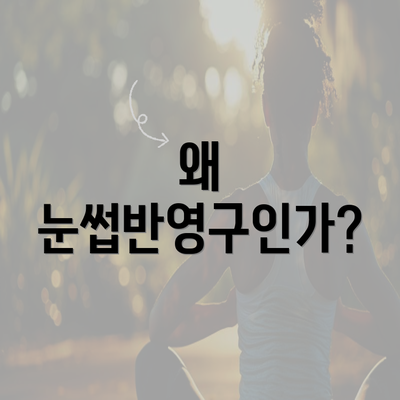 왜 눈썹반영구인가?