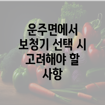 운주면에서 보청기 선택 시 고려해야 할 사항