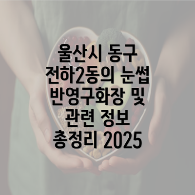 울산시 동구 전하2동의 눈썹 반영구화장 및 관련 정보 총정리 2025