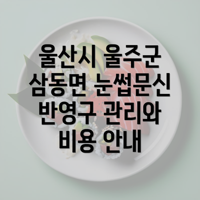 울산시 울주군 삼동면 눈썹문신 반영구 관리와 비용 안내