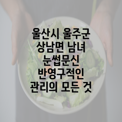 울산시 울주군 상남면 남녀 눈썹문신 반영구적인 관리의 모든 것