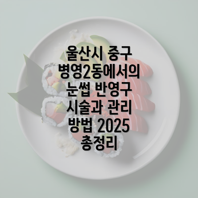 울산시 중구 병영2동에서의 눈썹 반영구 시술과 관리 방법 2025 총정리