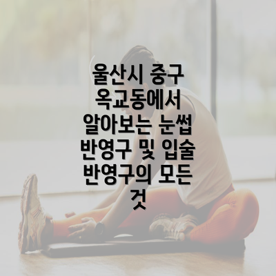 울산시 중구 옥교동에서 알아보는 눈썹 반영구 및 입술 반영구의 모든 것