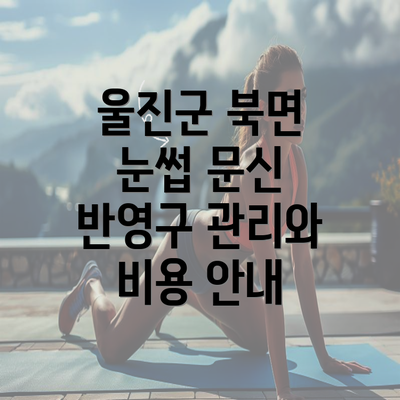 울진군 북면 눈썹 문신 반영구 관리와 비용 안내