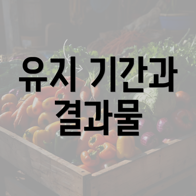 유지 기간과 결과물