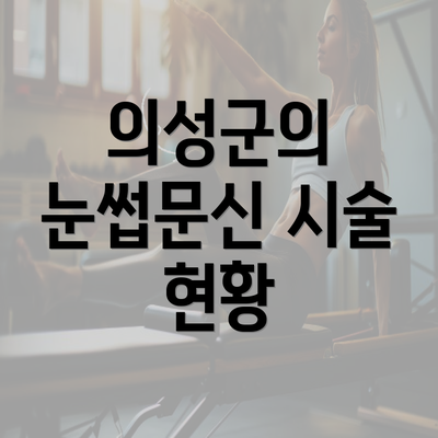 의성군의 눈썹문신 시술 현황