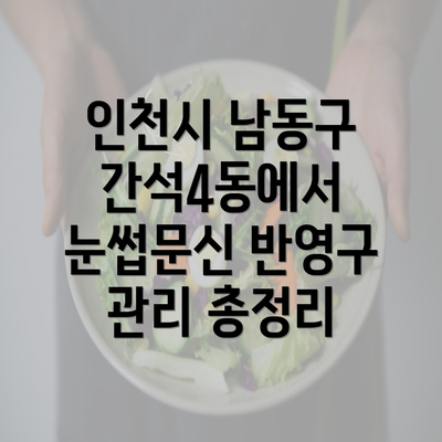 인천시 남동구 간석4동에서 눈썹문신 반영구 관리 총정리