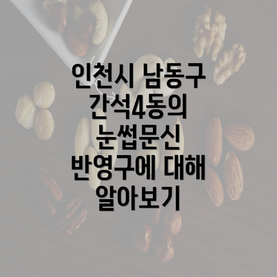 인천시 남동구 간석4동의 눈썹문신 반영구에 대해 알아보기