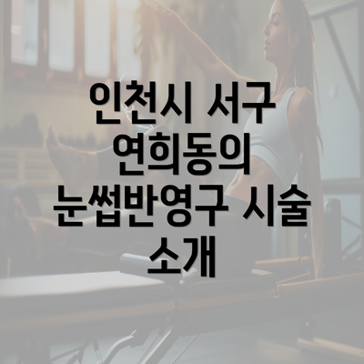 인천시 서구 연희동의 눈썹반영구 시술 소개