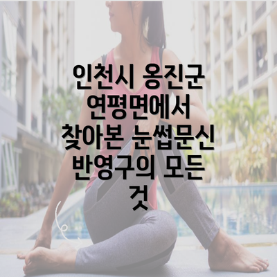 인천시 옹진군 연평면에서 찾아본 눈썹문신 반영구의 모든 것