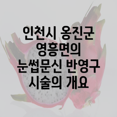 인천시 옹진군 영흥면의 눈썹문신 반영구 시술의 개요