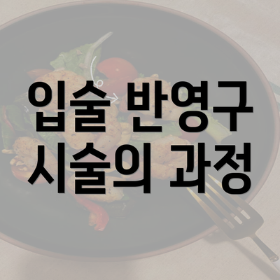 입술 반영구 시술의 과정