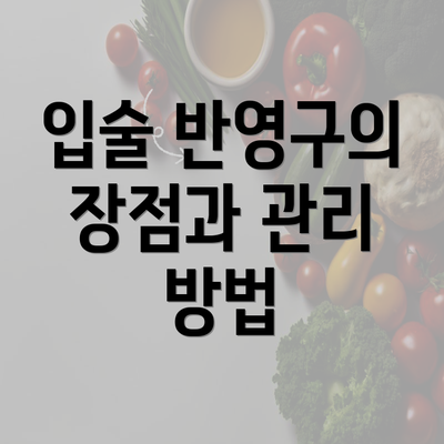 입술 반영구의 장점과 관리 방법